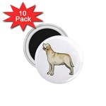 Labrador Retriever 1.75  Magnet (10 pack) 