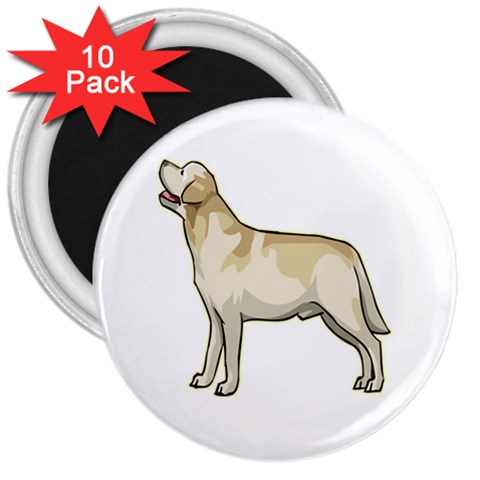 Labrador Retriever 3  Magnet (10 pack) from ArtsNow.com Front