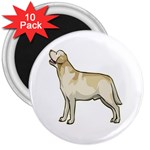 Labrador Retriever 3  Magnet (10 pack)