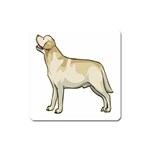 Labrador Retriever Magnet (Square)