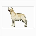 Labrador Retriever Postcard 4  x 6 