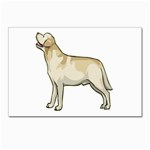 Labrador Retriever Postcard 5  x 7 