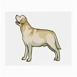 Labrador Retriever Glasses Cloth