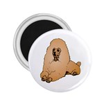 Poodle 2.25  Magnet