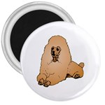 Poodle 3  Magnet