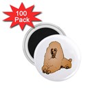 Poodle 1.75  Magnet (100 pack) 