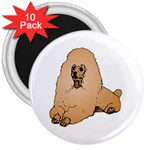 Poodle 3  Magnet (10 pack)