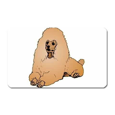 Poodle Magnet (Rectangular) from ArtsNow.com Front