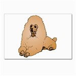 Poodle Postcards 5  x 7  (Pkg of 10)