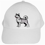 Siberian Husky White Cap