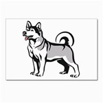 Siberian Husky Postcard 4 x 6  (Pkg of 10)