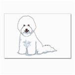 Bichon Frisé Postcard 5  x 7 