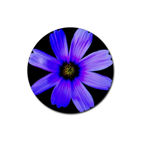 Purple Bloom Drink Coasters 4 Pack (Round) from ArtsNow.com Front