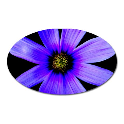 Purple Bloom Magnet (Oval) from ArtsNow.com Front