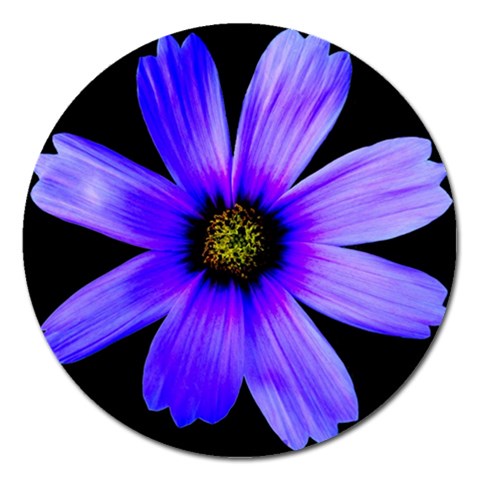 Purple Bloom Magnet 5  (Round) from ArtsNow.com Front