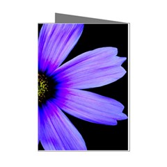 Purple Bloom Mini Greeting Card (8 Pack) from ArtsNow.com Left