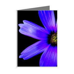 Purple Bloom Mini Greeting Card (8 Pack) from ArtsNow.com Right