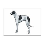 Whippet Sticker A4 (10 pack)