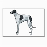 Whippet Postcard 4 x 6  (Pkg of 10)