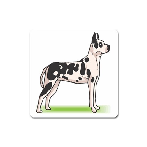 Great Dane Magnet (Square) from ArtsNow.com Front