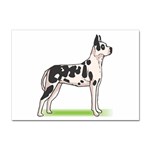 Great Dane Sticker A4 (10 pack)