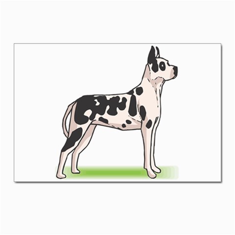 Great Dane Postcard 4 x 6  (Pkg of 10) from ArtsNow.com Front