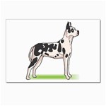 Great Dane Postcard 5  x 7 