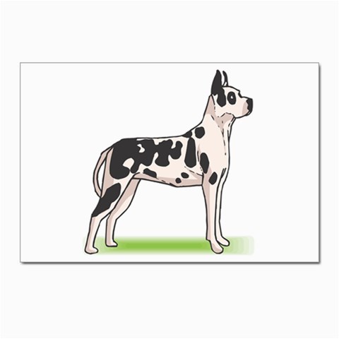 Great Dane Postcards 5  x 7  (Pkg of 10) from ArtsNow.com Front