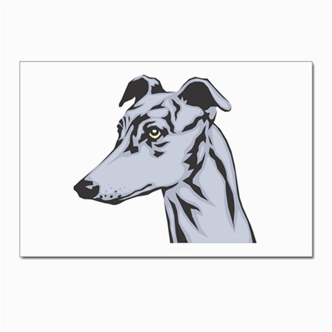 Greyhound Postcards 5  x 7  (Pkg of 10) from ArtsNow.com Front