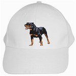 Rottweiler White Cap