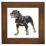 Rottweiler Framed Tile