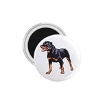 Rottweiler 1.75  Magnet