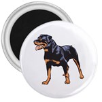 Rottweiler 3  Magnet