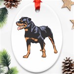 Rottweiler Ornament (Oval)