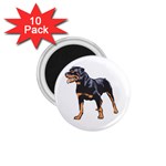 Rottweiler 1.75  Magnet (10 pack) 