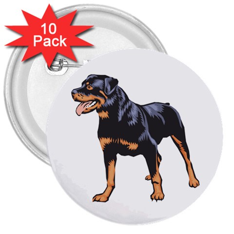 Rottweiler 3  Button (10 pack) from ArtsNow.com Front