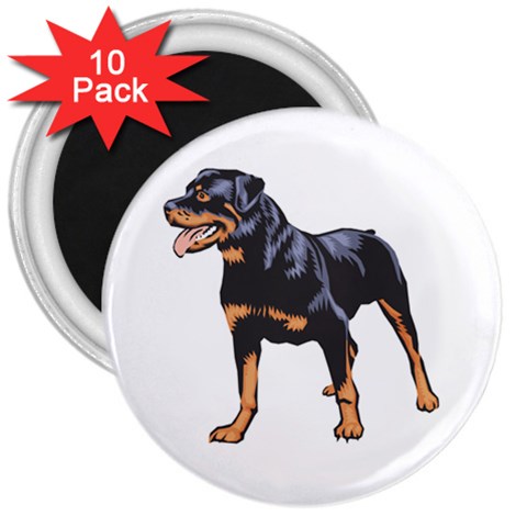 Rottweiler 3  Magnet (10 pack) from ArtsNow.com Front