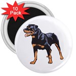 Rottweiler 3  Magnet (10 pack)