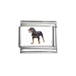 Rottweiler Italian Charm (9mm)