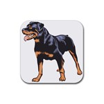 Rottweiler Rubber Coaster (Square)