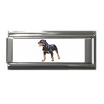 Rottweiler Superlink Italian Charm (9mm)