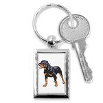 Rottweiler Key Chain (Rectangle)