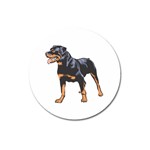 Rottweiler Magnet 3  (Round)