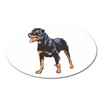 Rottweiler Magnet (Oval)