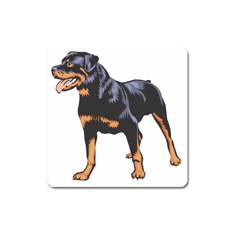 Rottweiler Magnet (Square) from ArtsNow.com Front