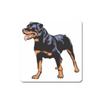 Rottweiler Magnet (Square)