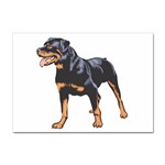 Rottweiler Sticker A4 (10 pack)