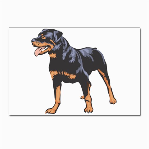 Rottweiler Postcard 4 x 6  (Pkg of 10) from ArtsNow.com Front