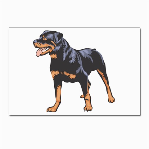 Rottweiler Postcards 5  x 7  (Pkg of 10) from ArtsNow.com Front