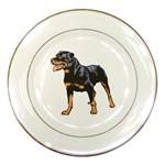 Rottweiler Porcelain Plate